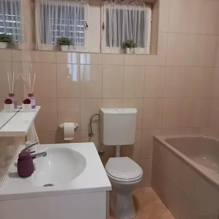 Dora-100m From The 公寓